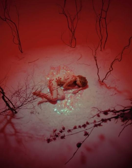 Bambi's Night Out!}}